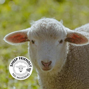 Stop Mulesing - FJORK Merino 🌍