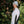 Tech Jungfrau 210 Zip Women, Polar White, merino wool, Fjork Merino