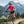 Ultra 300 Merino jacket Women (No hoodie)